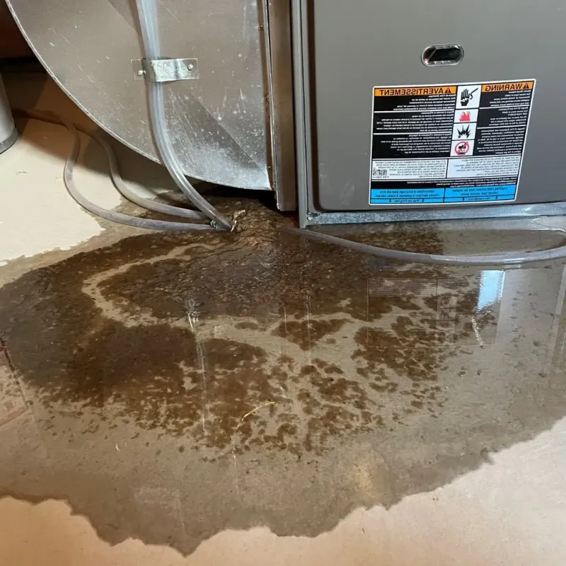 Pipe Burst and Leak Restoration in East Flatbush, NY